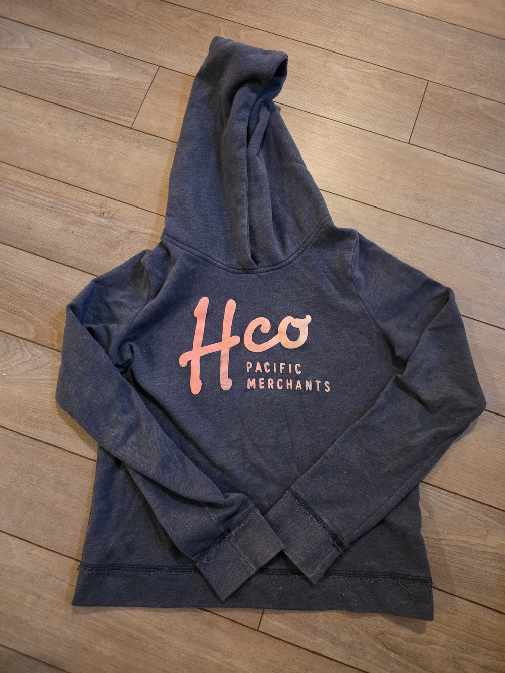 Hollister Navy Pullover with Maroon Logo Tag